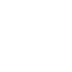لوگو نقره سینا