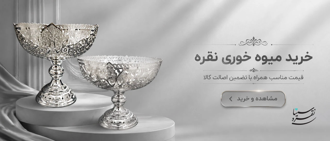خرید میوه خوری نقره